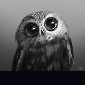 Meet your Posher, Misti